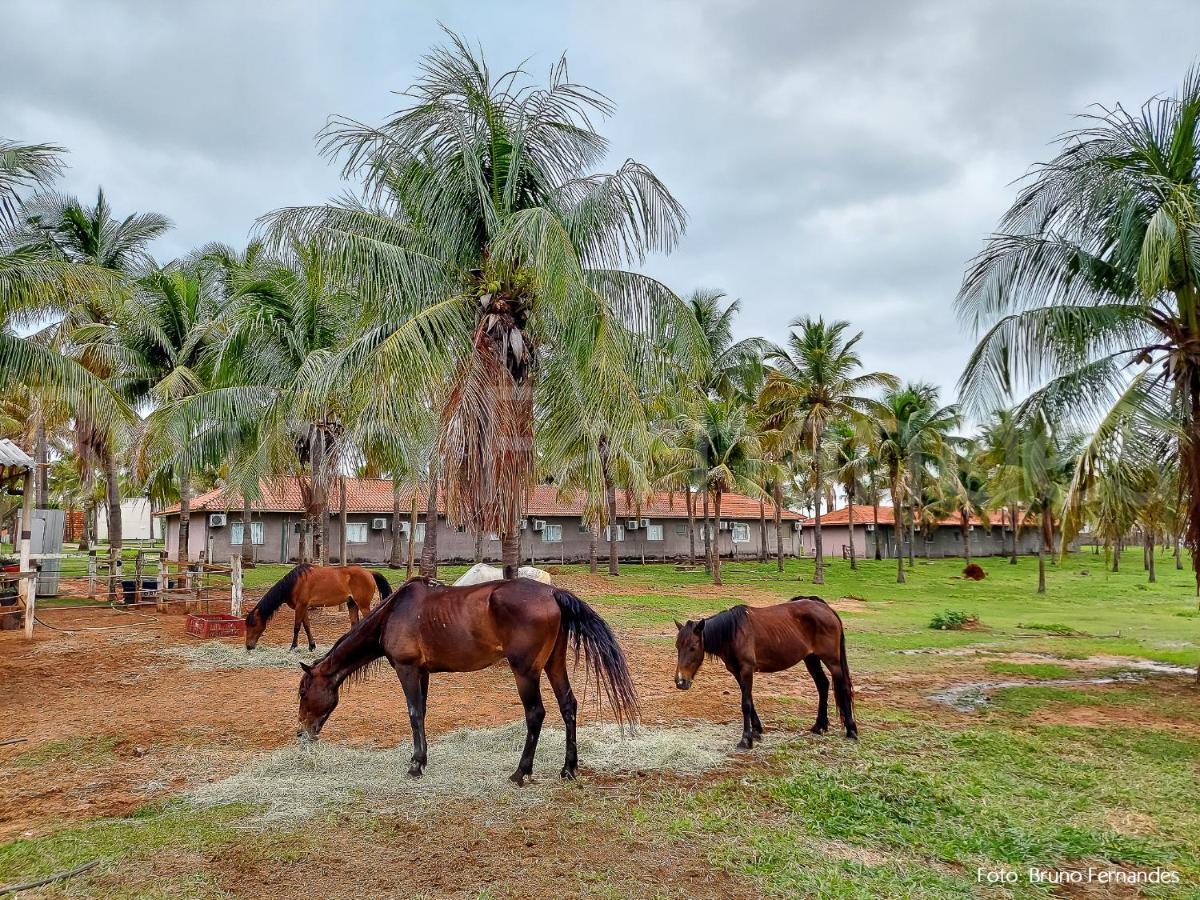 Campo Belo Resort 普鲁登特总统城 外观 照片